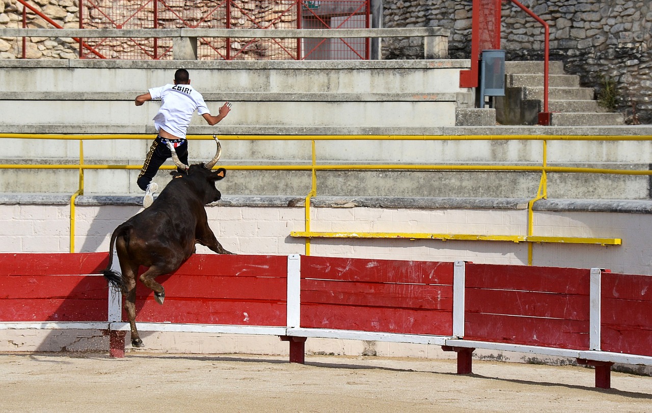 史中