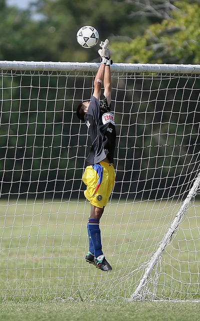 表的競爭對 表的競爭對