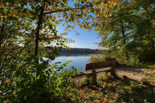 不仅数据亮 不仅数据亮